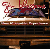 Gin Blossoms 'Hey Jealousy' Drum Chart