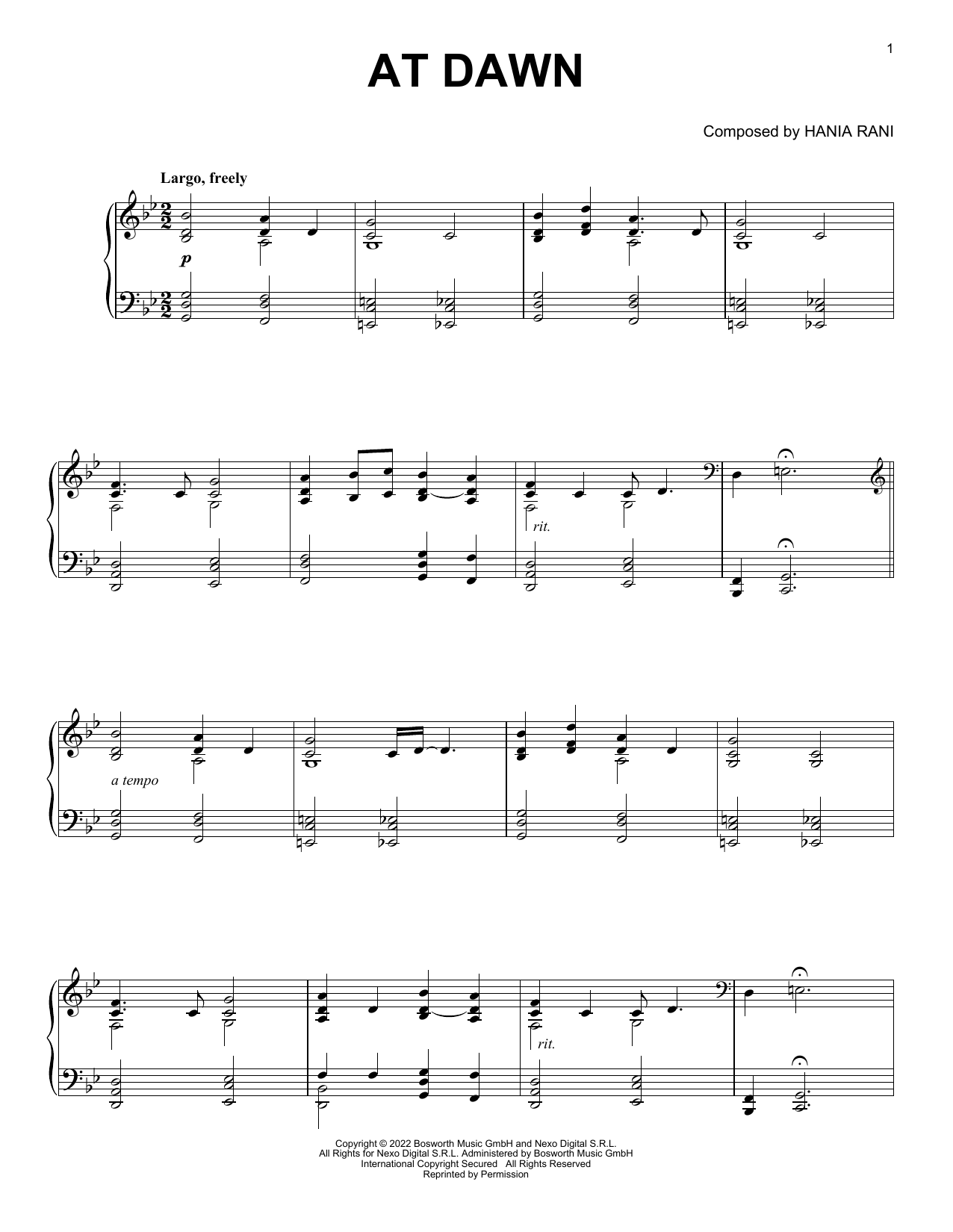Hania Rani At Dawn sheet music notes and chords arranged for Piano Solo