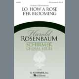 Harold Rosenbaum 'Lo, How A Rose E'er Blooming' SATB Choir