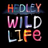 Hedley 'Pocket Full Of Dreams' Easy Piano