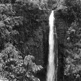 Helen Parker 'Akaka Falls' Ukulele