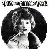 Hubert W. David 'A Rose In A Garden Of Weeds' Piano, Vocal & Guitar Chords