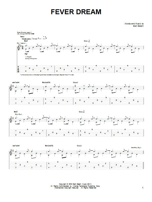 Iron & Wine Fever Dream sheet music notes and chords arranged for Easy Guitar