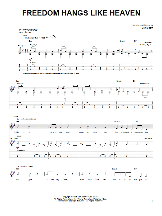 Iron & Wine Freedom Hangs Like Heaven sheet music notes and chords arranged for Easy Guitar