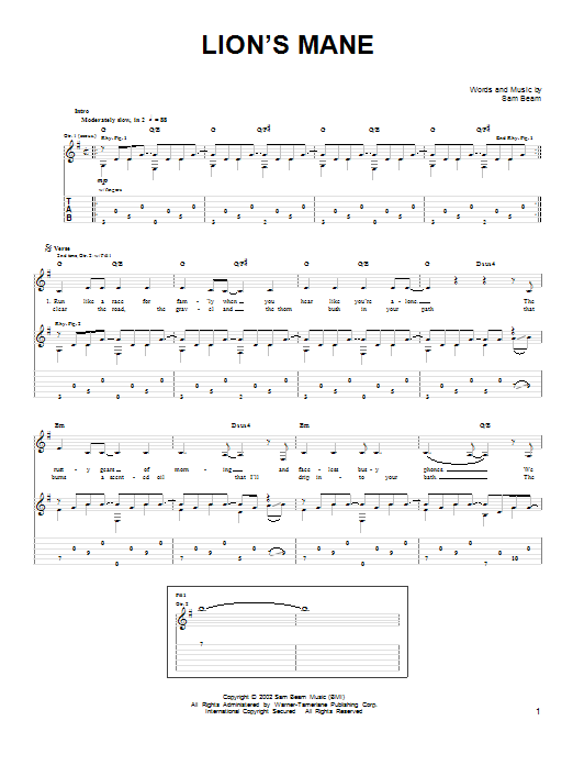 Iron & Wine Lion's Mane sheet music notes and chords arranged for Easy Guitar