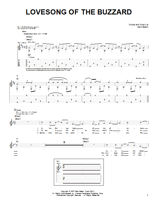 Iron & Wine Lovesong Of The Buzzard sheet music notes and chords arranged for Easy Guitar