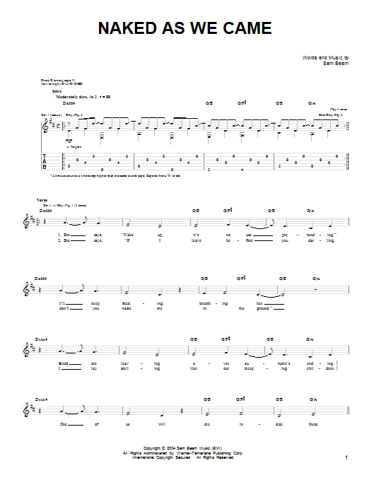 Iron & Wine Naked As We Came sheet music notes and chords arranged for Guitar Chords/Lyrics