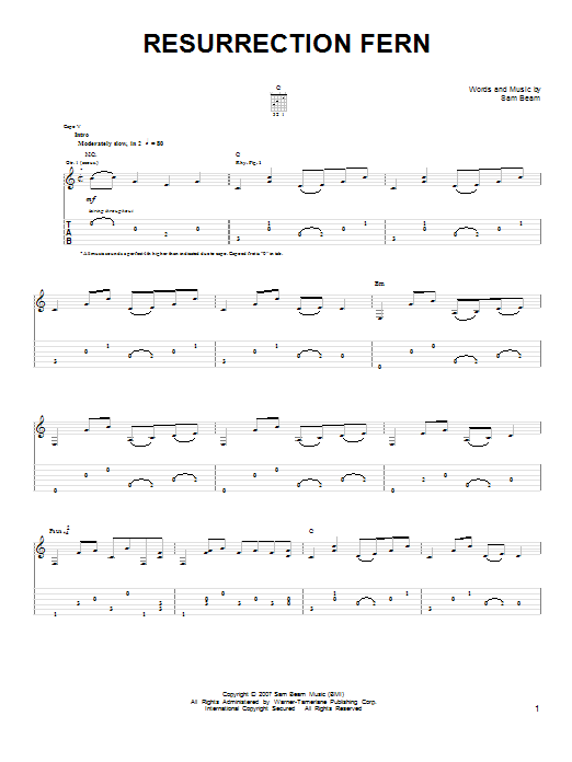 Iron & Wine Resurrection Fern sheet music notes and chords arranged for Easy Guitar