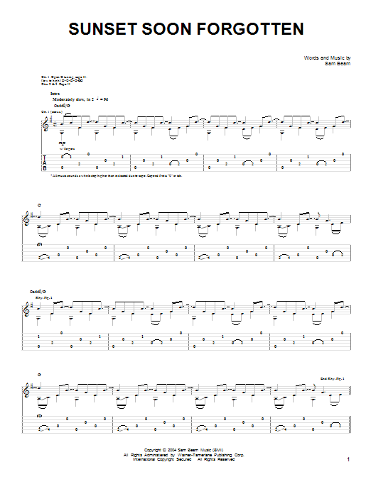 Iron & Wine Sunset Soon Forgotten sheet music notes and chords arranged for Easy Guitar