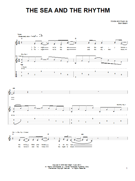 Iron & Wine The Sea And The Rhythm sheet music notes and chords arranged for Easy Guitar