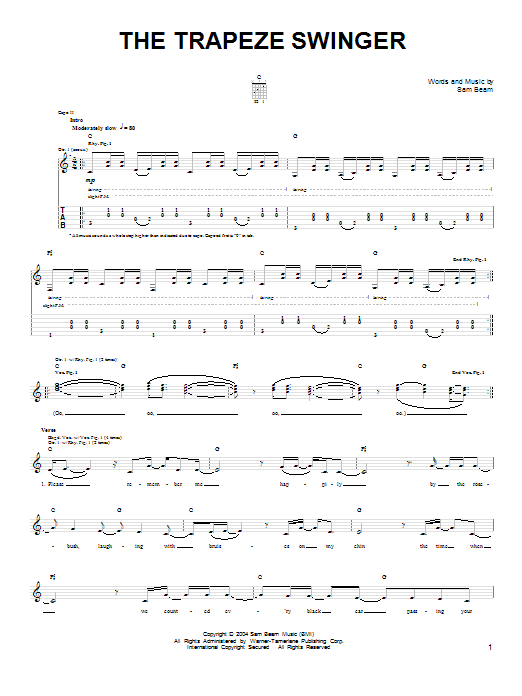 Iron & Wine The Trapeze Swinger sheet music notes and chords arranged for Easy Guitar