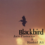 Jaco Pastorius & Rashid Ali 'Slang' Bass Guitar Tab