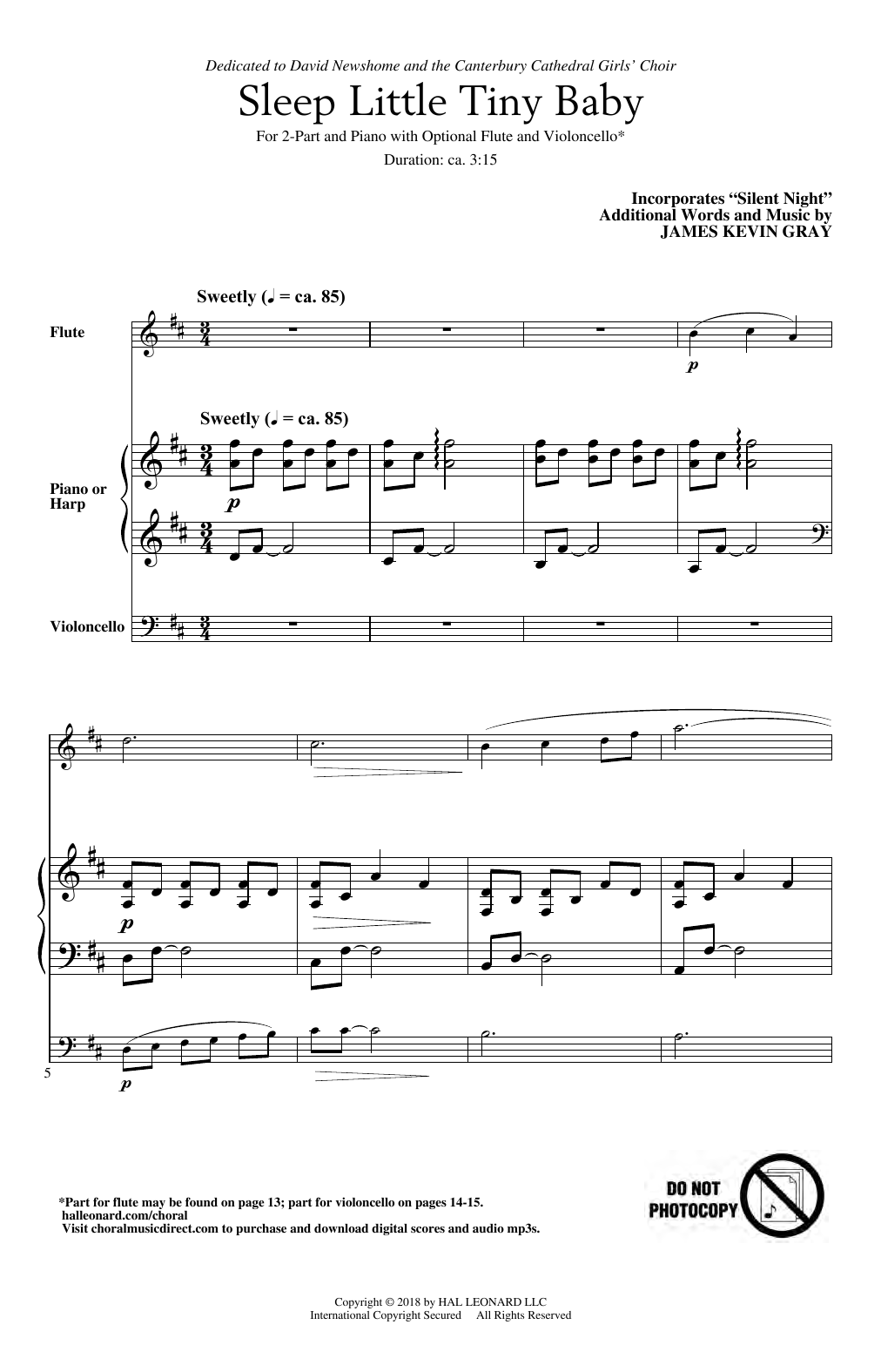 James Kevin Gray Sleep Little Tiny Baby sheet music notes and chords arranged for 2-Part Choir