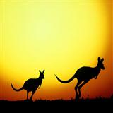 Janice Webb 'I'm Hoppity Hop The Kangaroo' Lead Sheet / Fake Book