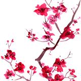 Japanese Folksong 'Sakura (Cherry Blossoms)' Guitar Ensemble