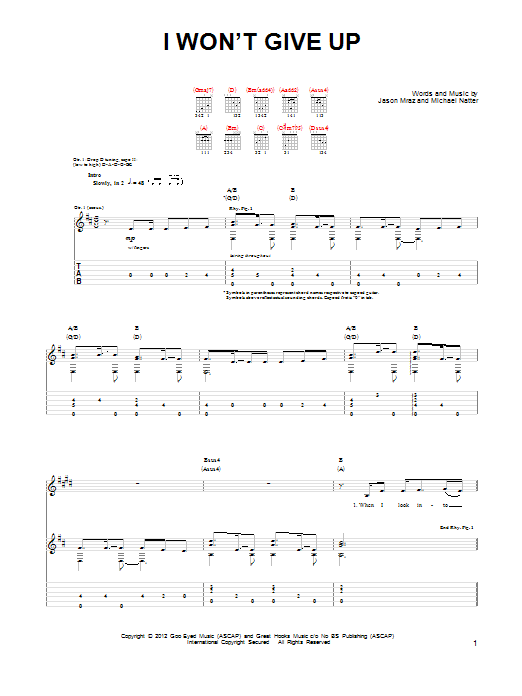 Jason Mraz I Won't Give Up sheet music notes and chords arranged for Lead Sheet / Fake Book