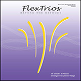 Download Jason Varga Flextrios - Beyond The Methods (16 Pieces) - String Bass Sheet Music and Printable PDF music notes