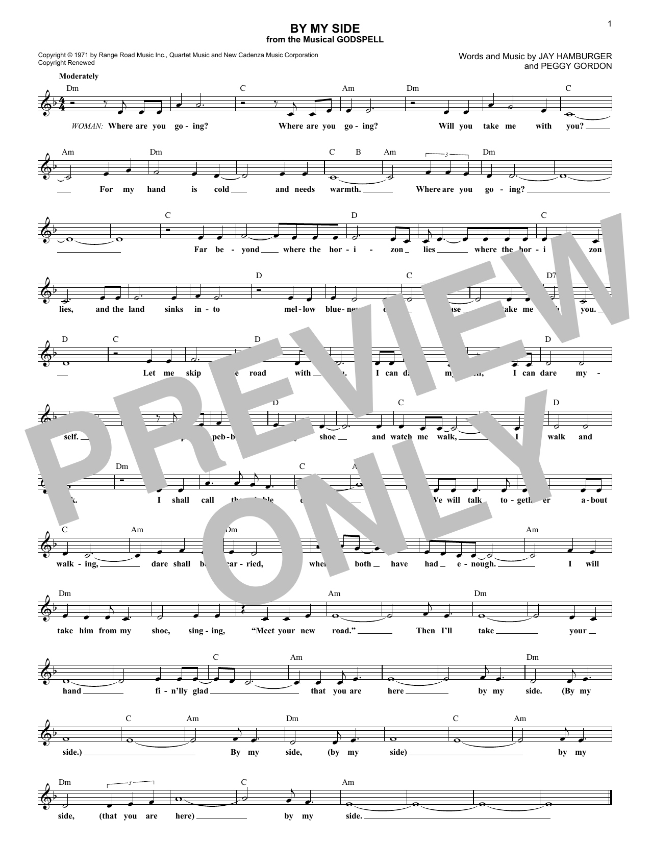 Jay Hamburger By My Side sheet music notes and chords arranged for Lead Sheet / Fake Book