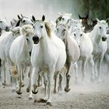 Jeffrey Douma 'All The Pretty Little Horses' SATB Choir
