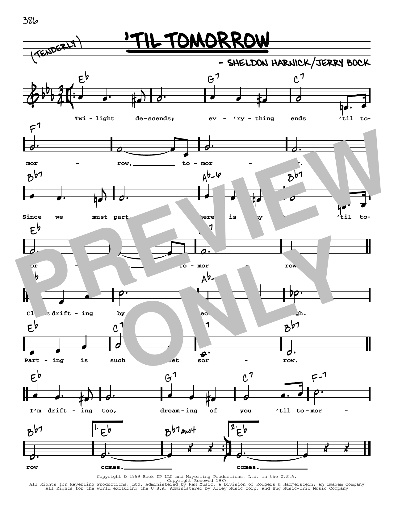 Jerry Bock 'Til Tomorrow (Low Voice) sheet music notes and chords arranged for Real Book – Melody, Lyrics & Chords