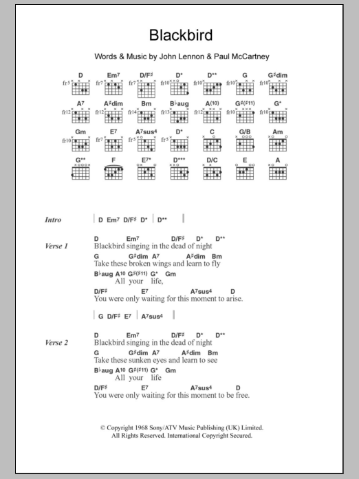 Jodie Winter Blackbird sheet music notes and chords arranged for Guitar Chords/Lyrics