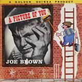 Joe Brown & The Bruvvers 'A Picture Of You' Guitar Chords/Lyrics
