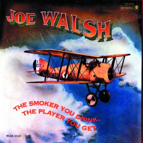 Easily Download Joe Walsh Printable PDF piano music notes, guitar tabs for  Guitar Tab (Single Guitar). Transpose or transcribe this score in no time - Learn how to play song progression.