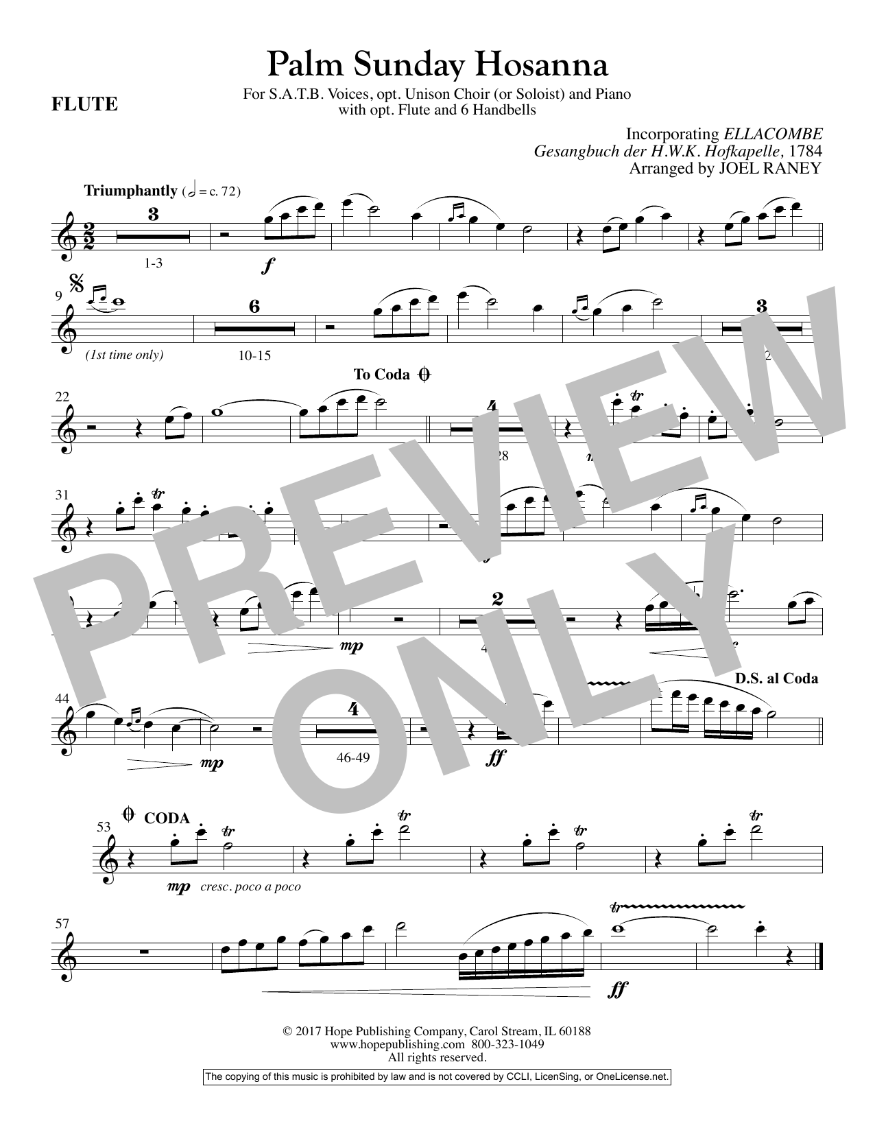 Joel Raney Palm Sunday Hosanna - Flute sheet music notes and chords arranged for Choir Instrumental Pak