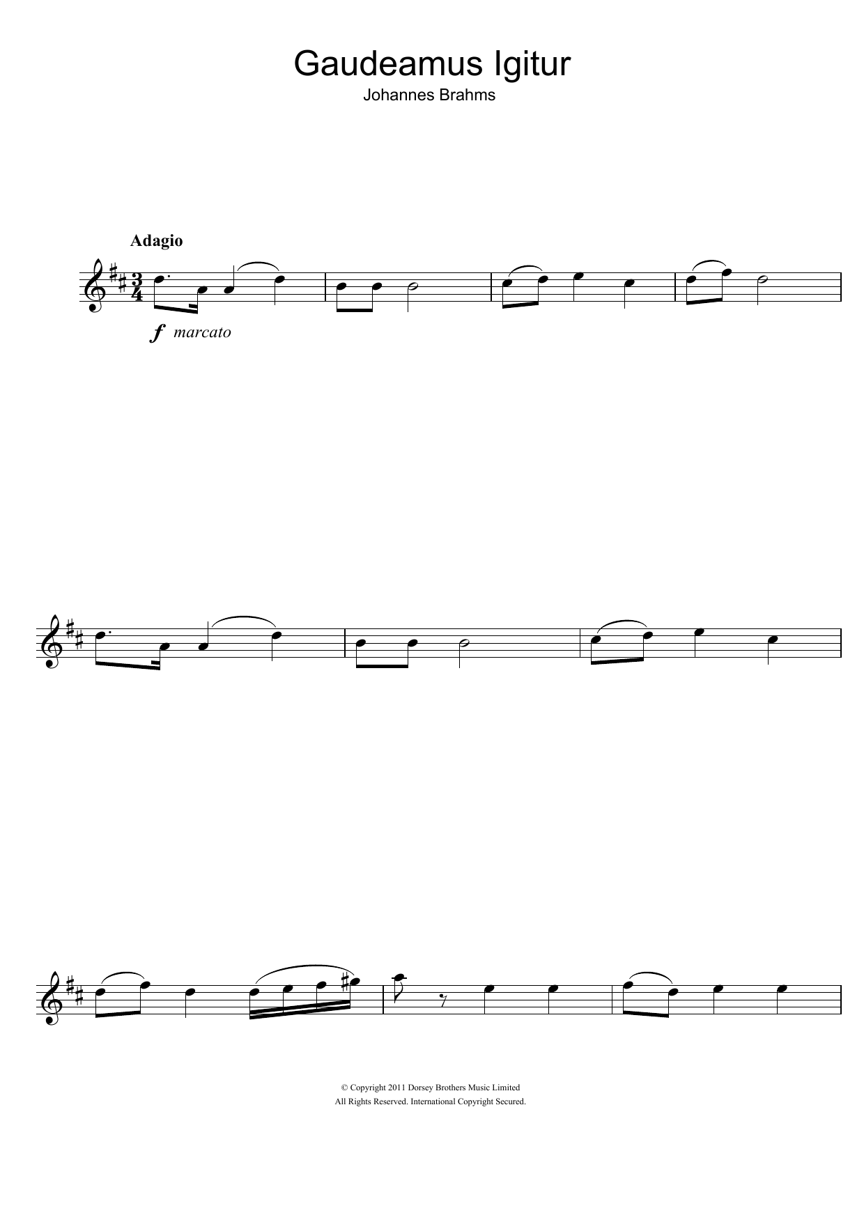 Johannes Brahms Gaudeamus Igitur sheet music notes and chords arranged for Lead Sheet / Fake Book