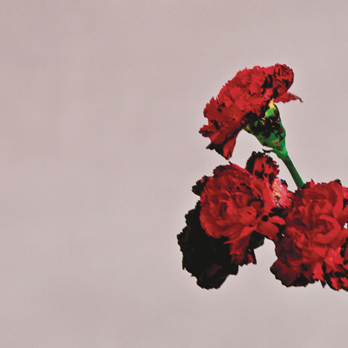 Easily Download John Legend Printable PDF piano music notes, guitar tabs for  Piano Solo. Transpose or transcribe this score in no time - Learn how to play song progression.