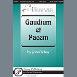 John Tebay 'Gaudium Et Pacem' SATB Choir
