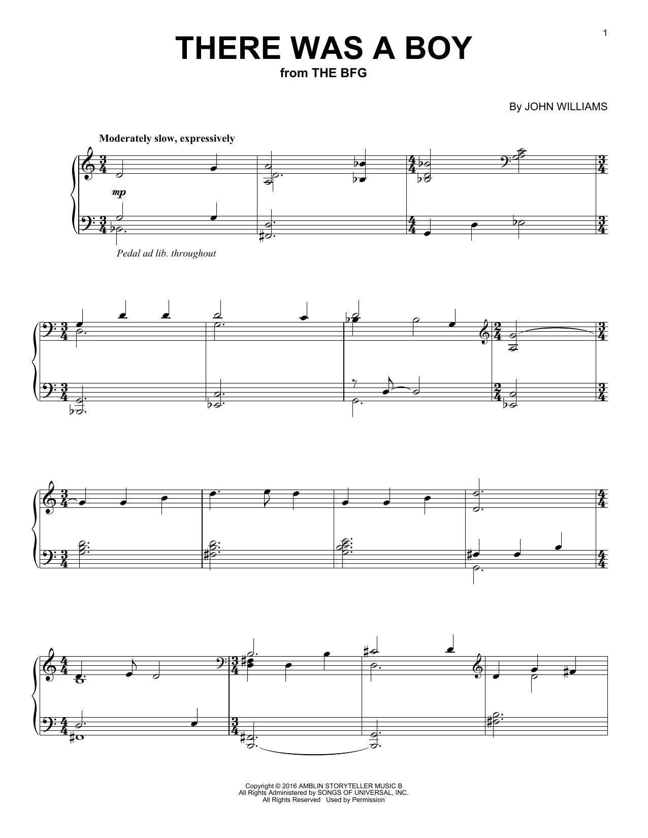 John Williams There Was A Boy sheet music notes and chords arranged for Piano Solo