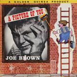 Joe Brown & The Bruvvers 'A Picture Of You' Guitar Chords/Lyrics