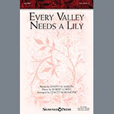 Joseph M. Martin and Robert Lowry 'Every Valley Needs A Lily (arr. Stacey Nordmeyer)' SAB Choir