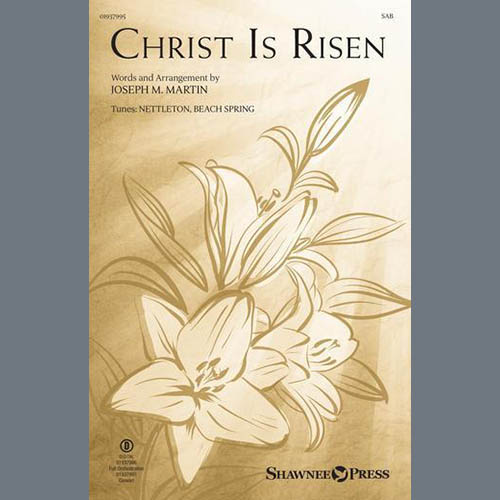 Easily Download Joseph M. Martin Printable PDF piano music notes, guitar tabs for  SAB Choir. Transpose or transcribe this score in no time - Learn how to play song progression.