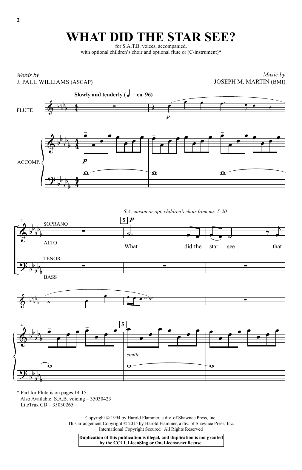 Joseph M. Martin What Did The Star See? sheet music notes and chords arranged for SAB Choir