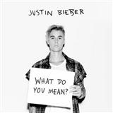 Justin Bieber 'What Do You Mean?' Piano, Vocal & Guitar Chords (Right-Hand Melody)