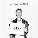 Justin Bieber 'Sorry (piano version)' Piano, Vocal & Guitar Chords