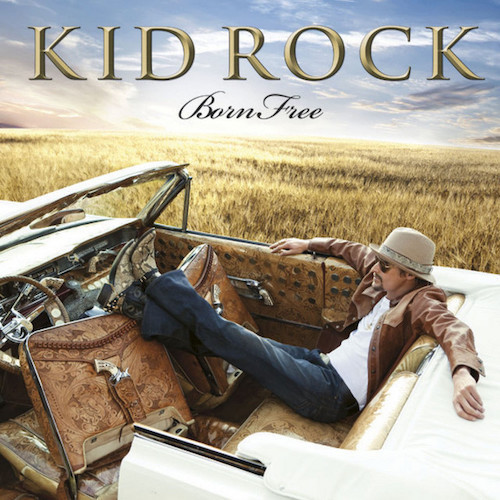 Easily Download Kid Rock Printable PDF piano music notes, guitar tabs for  Guitar Lead Sheet. Transpose or transcribe this score in no time - Learn how to play song progression.