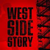 Leonard Bernstein 'Cool (from West Side Story)' Piano, Vocal & Guitar Chords (Right-Hand Melody)