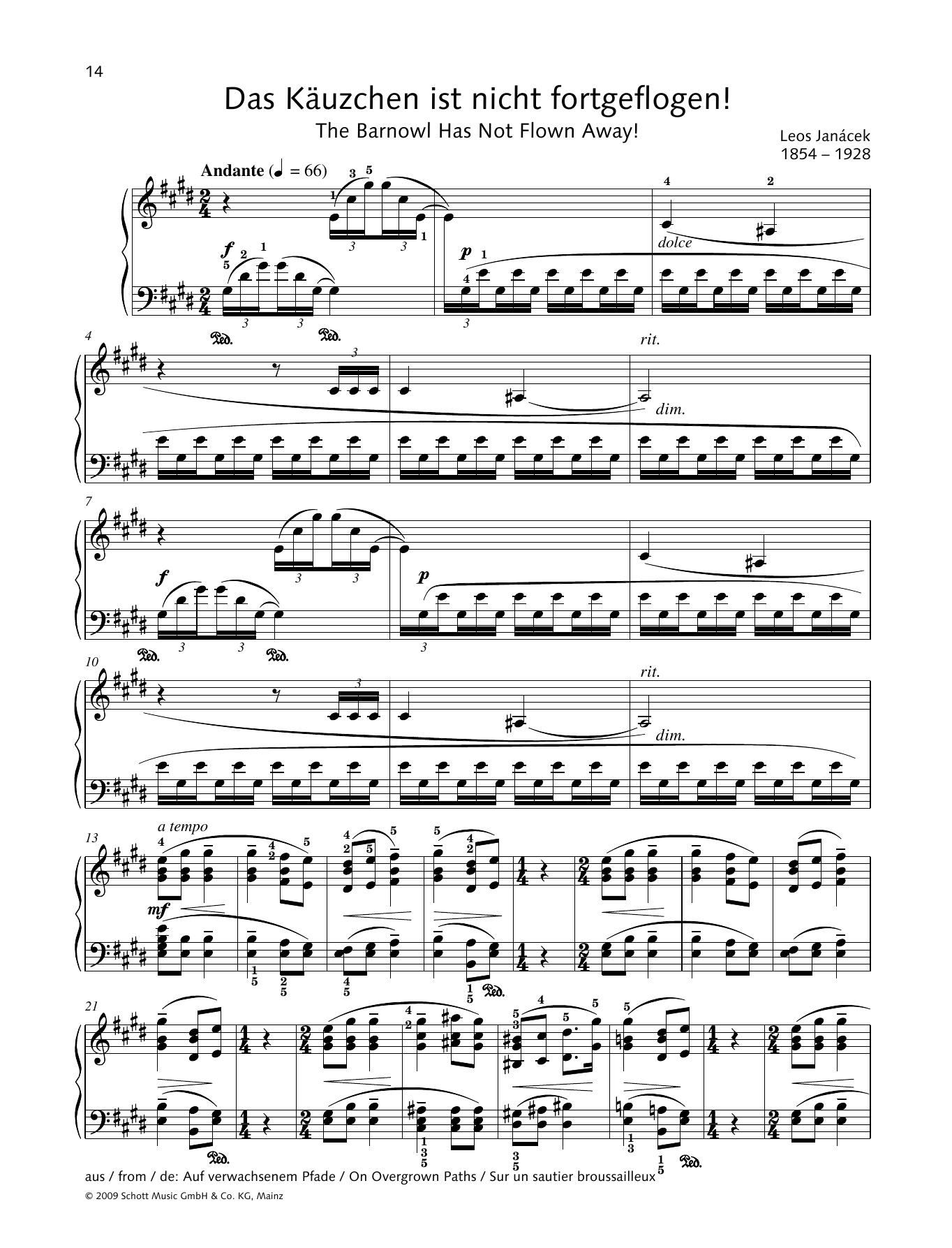 Leos Janácek The Barnowl has not Flown Away! sheet music notes and chords arranged for Piano Solo