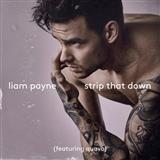 Liam Payne 'Strip That Down (featuring Quavo)' Piano, Vocal & Guitar Chords