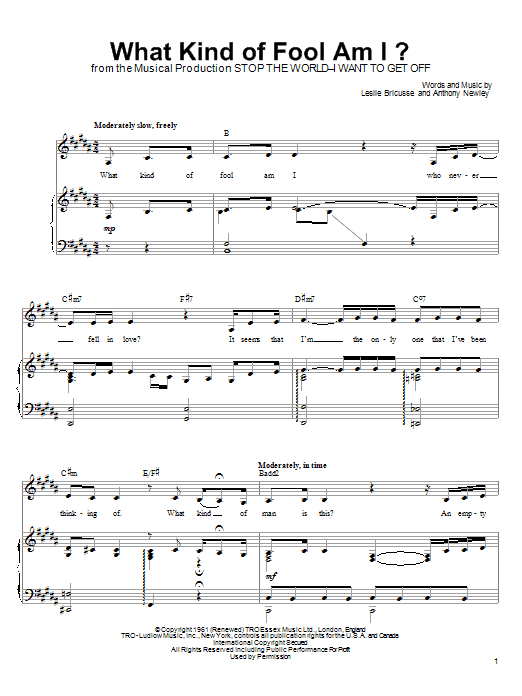 Linda Eder What Kind Of Fool Am I? sheet music notes and chords arranged for Piano, Vocal & Guitar Chords (Right-Hand Melody)