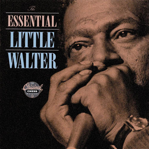 Easily Download Little Walter Printable PDF piano music notes, guitar tabs for  Harmonica. Transpose or transcribe this score in no time - Learn how to play song progression.