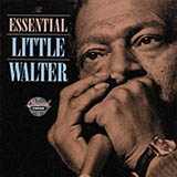 Little Walter 'Mean Old World' Harmonica