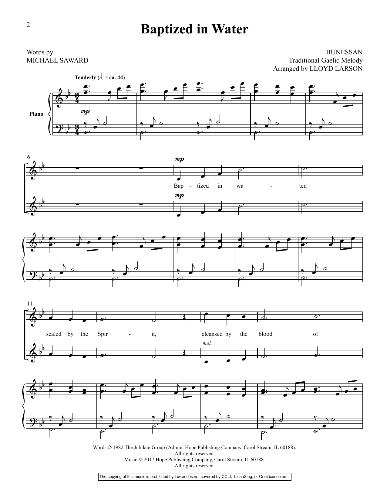 Lloyd Larson Today's Hymns & Songs For Two Voices, Vol. II sheet music notes and chords arranged for Vocal Duet