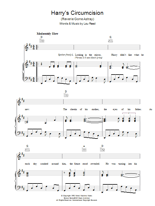 Lou Reed Harry's Circumcision sheet music notes and chords arranged for Piano, Vocal & Guitar Chords