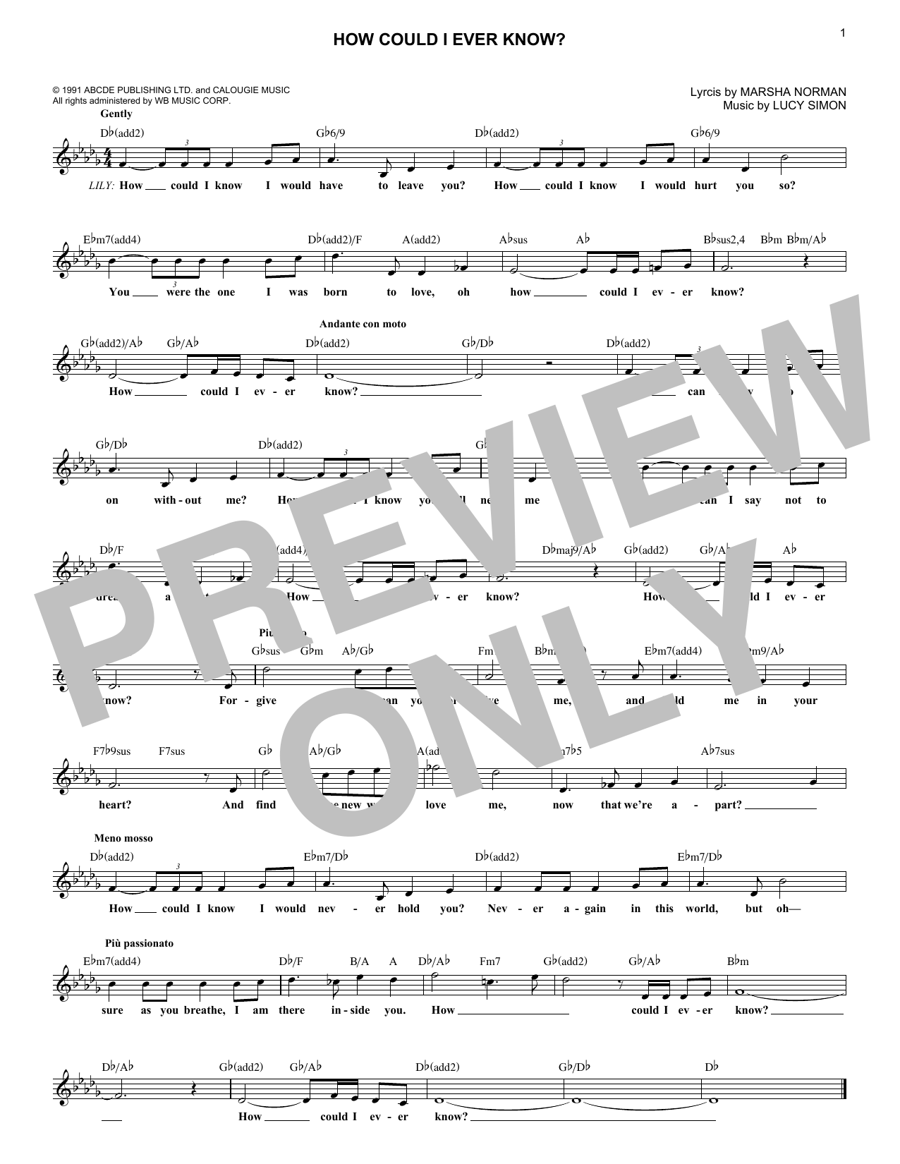 Lucy Simon How Could I Ever Know? sheet music notes and chords arranged for Lead Sheet / Fake Book