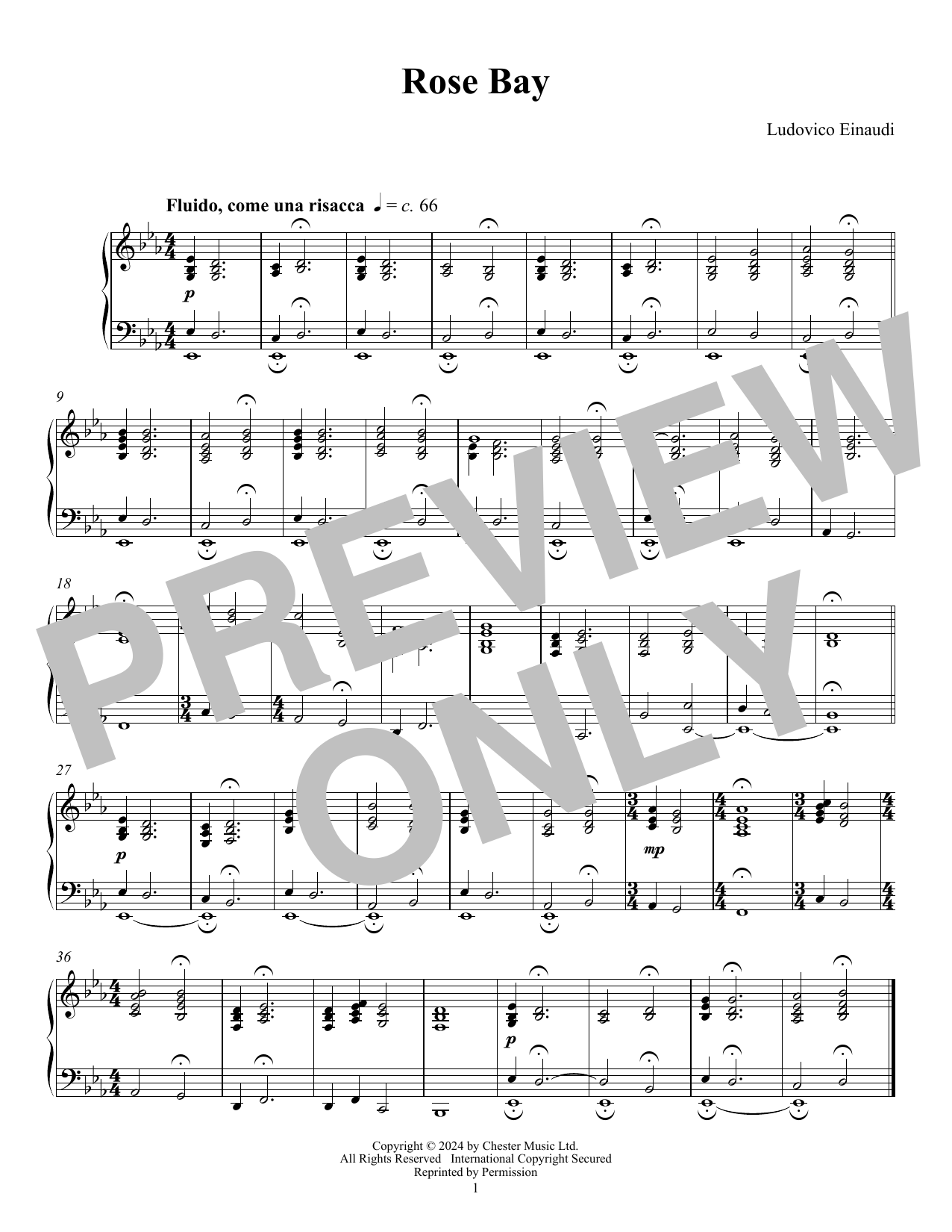 Ludovico Einaudi Rose Bay sheet music notes and chords arranged for Piano Solo