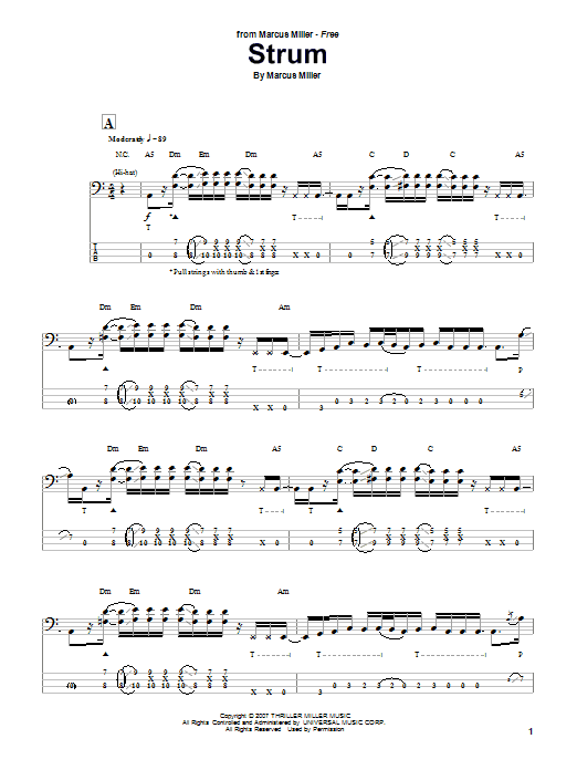 Marcus Miller Strum sheet music notes and chords arranged for Bass Guitar Tab